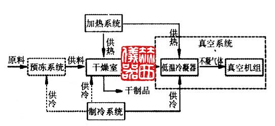 常見(jiàn)冷凍干燥設備